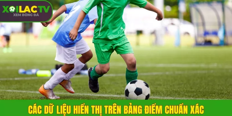 Các dữ liệu hiển thị trên bảng điểm chuẩn xác