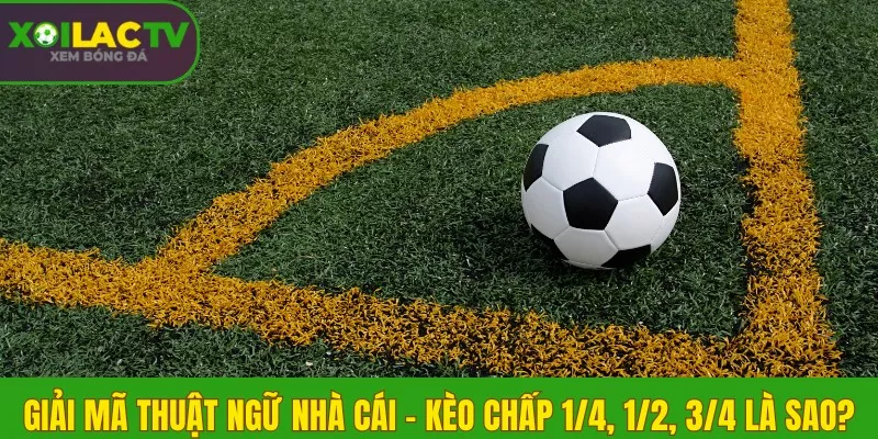 Hiểu về Kèo chấp 1/4